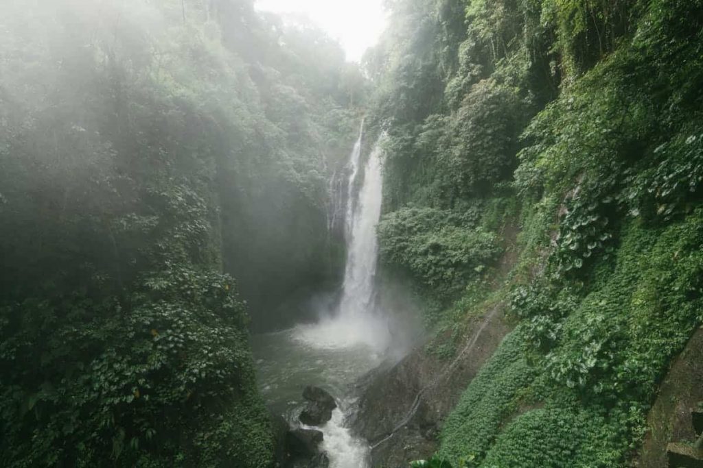 los secretos de Bali selva
